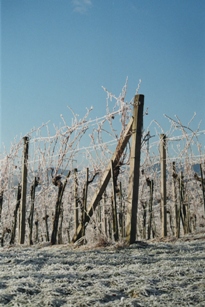 imm004_32B.jpg