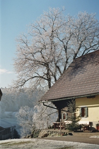 imm005_31B_1.jpg