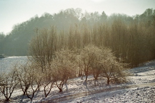 imm010_11B_1.jpg
