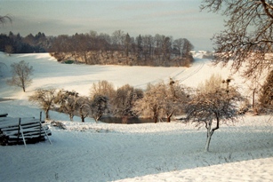 imm011_20b.jpg