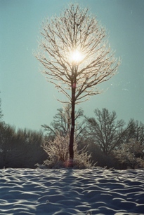imm018_19B_1.jpg