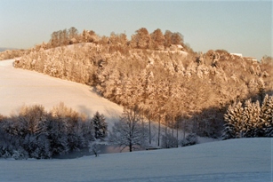 imm026_10B.jpg